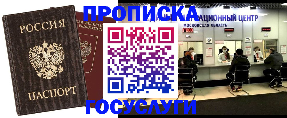 прописка поиск в Новгородской области